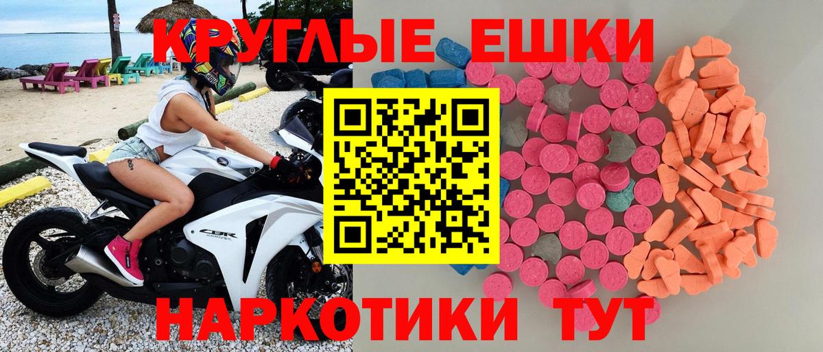 Ecstasy  Вход с VPN  Сунжа  ЭКСТАЗИ Philipp Plein 