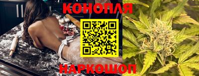 дживик Аша