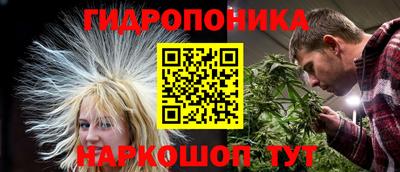 стафф Анжеро-Судженск